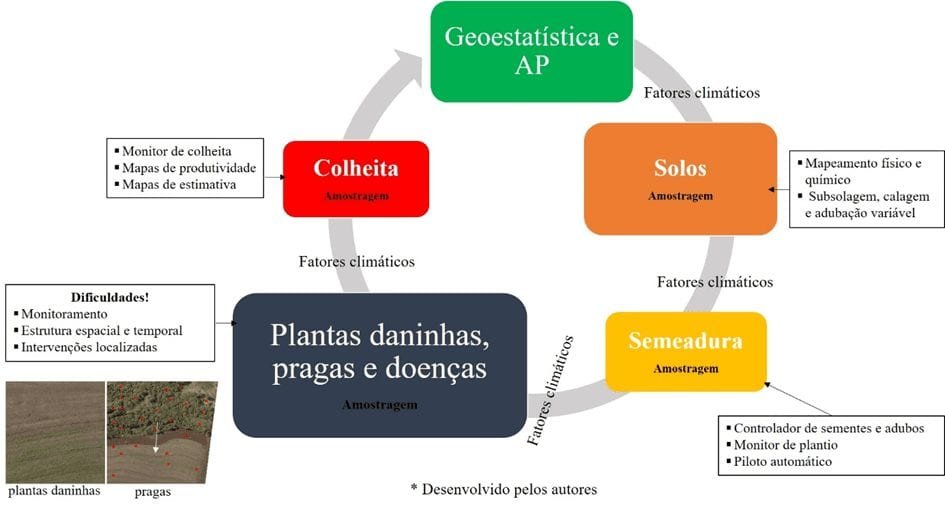 Geoestatística como ferramenta essencial na agricultura de precisão