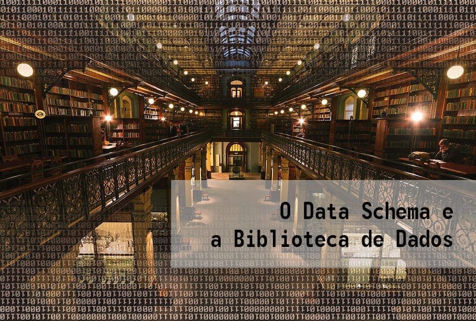 O Data Schema e a Biblioteca de Dados