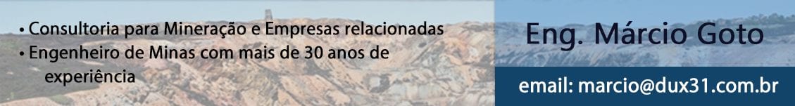 engenheiro Marcio Goto, consultoria pela dux31